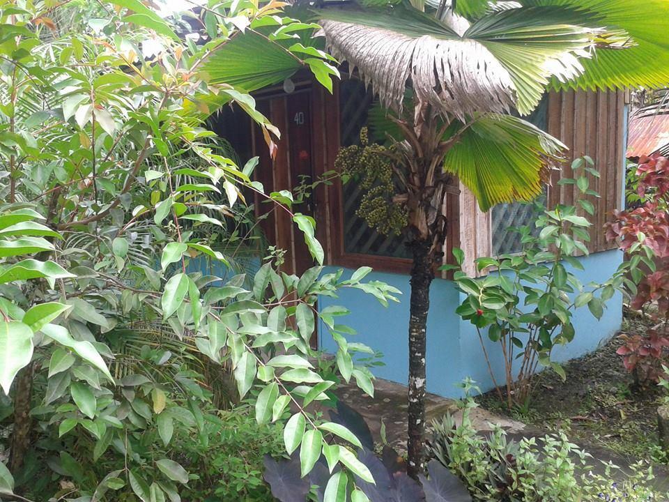 Hotel Puerto Viejo Puerto Viejo de Talamanca Eksteriør billede
